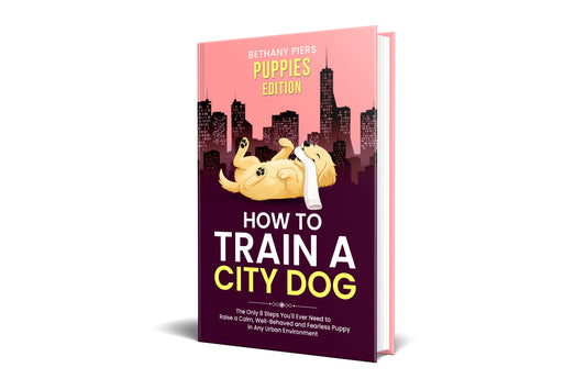 How to Train a City Dog