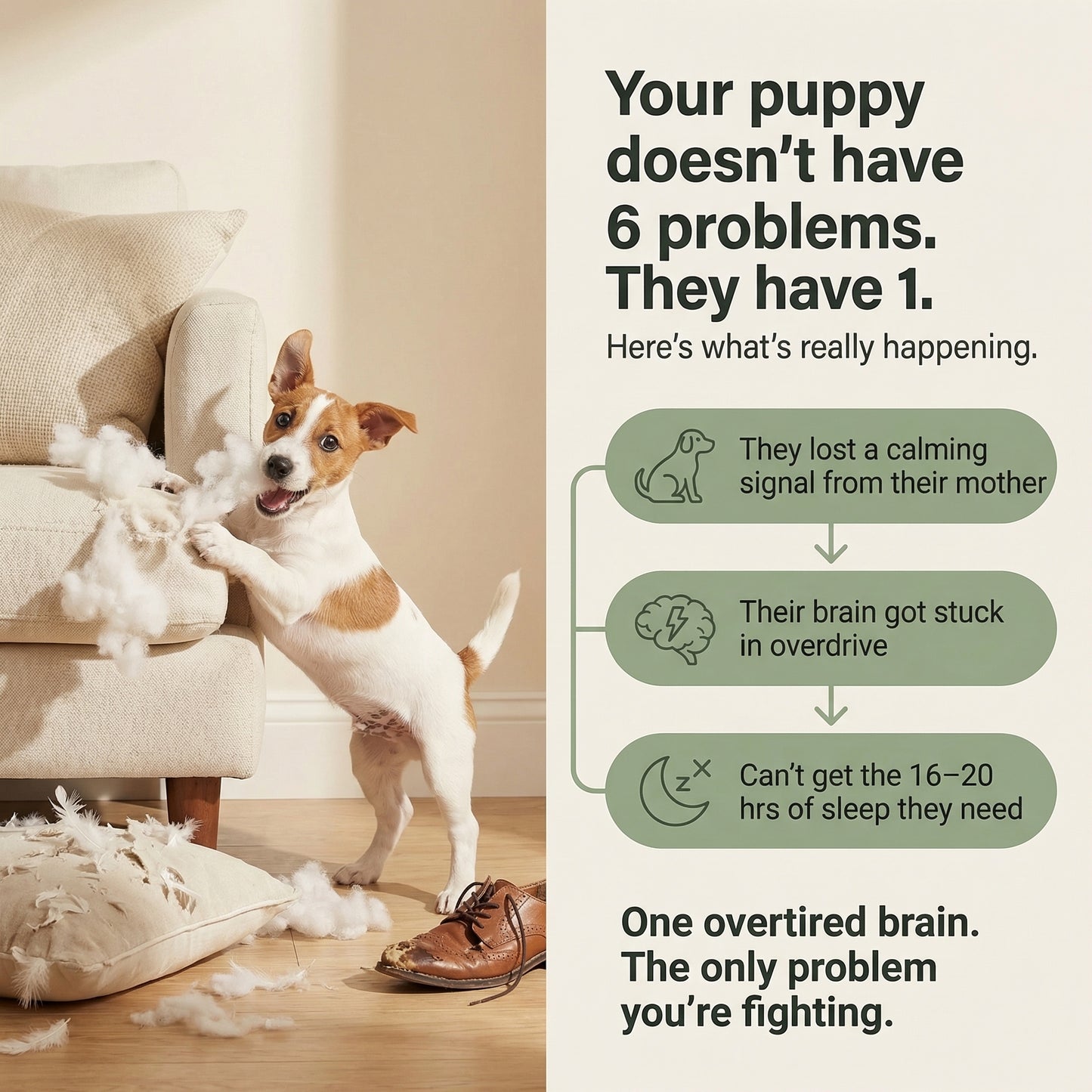 Puppy Calming Diffuser